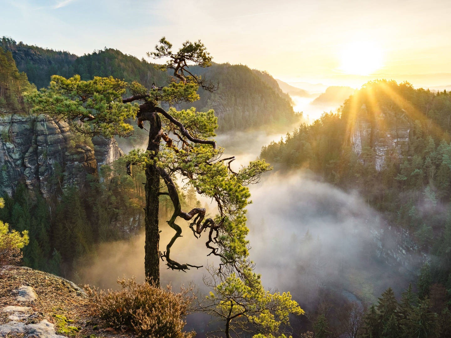 Nihil eum debitis culpa sapiente.